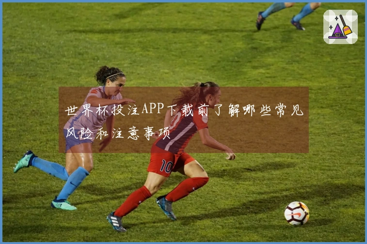 世界杯投注APP下载前了解哪些常见风险和注意事项