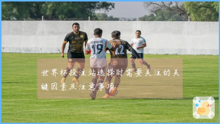 世界杯投注站选择时需要关注的关键因素及注意事项
