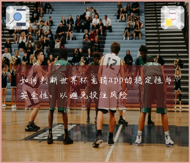 如何判断世界杯竞猜app的稳定性与安全性,以避免投注风险