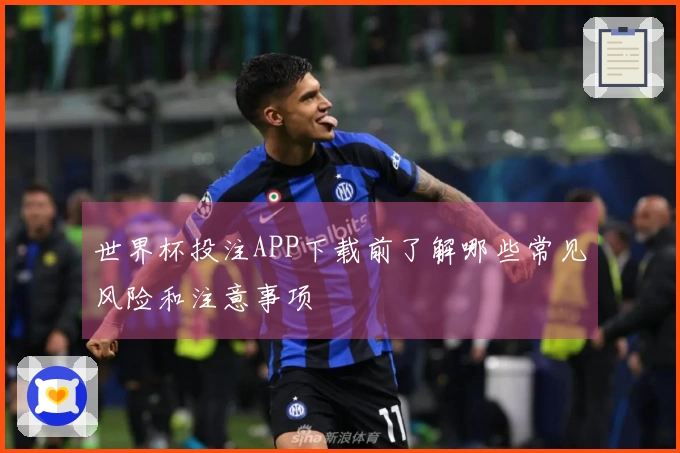 世界杯投注APP下载前了解哪些常见风险和注意事项