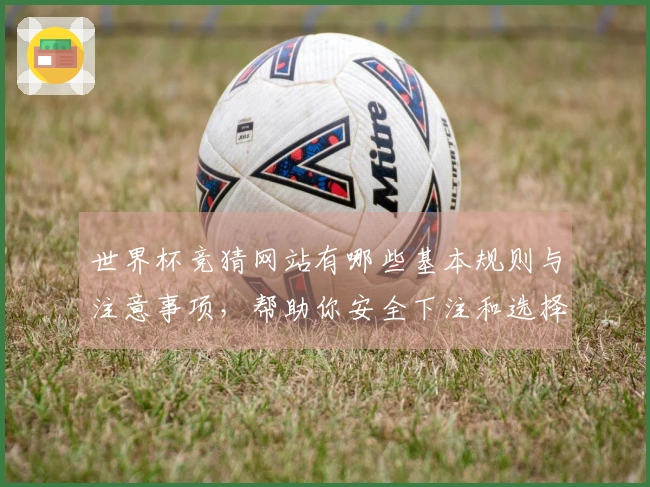 世界杯竞猜网站有哪些基本规则与注意事项，帮助你安全下注和选择平台？